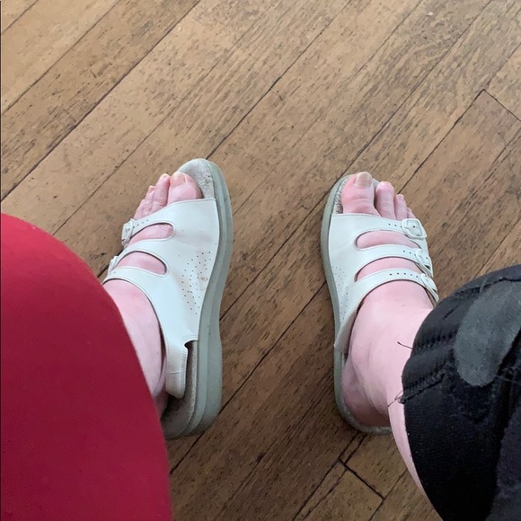 pattegirl